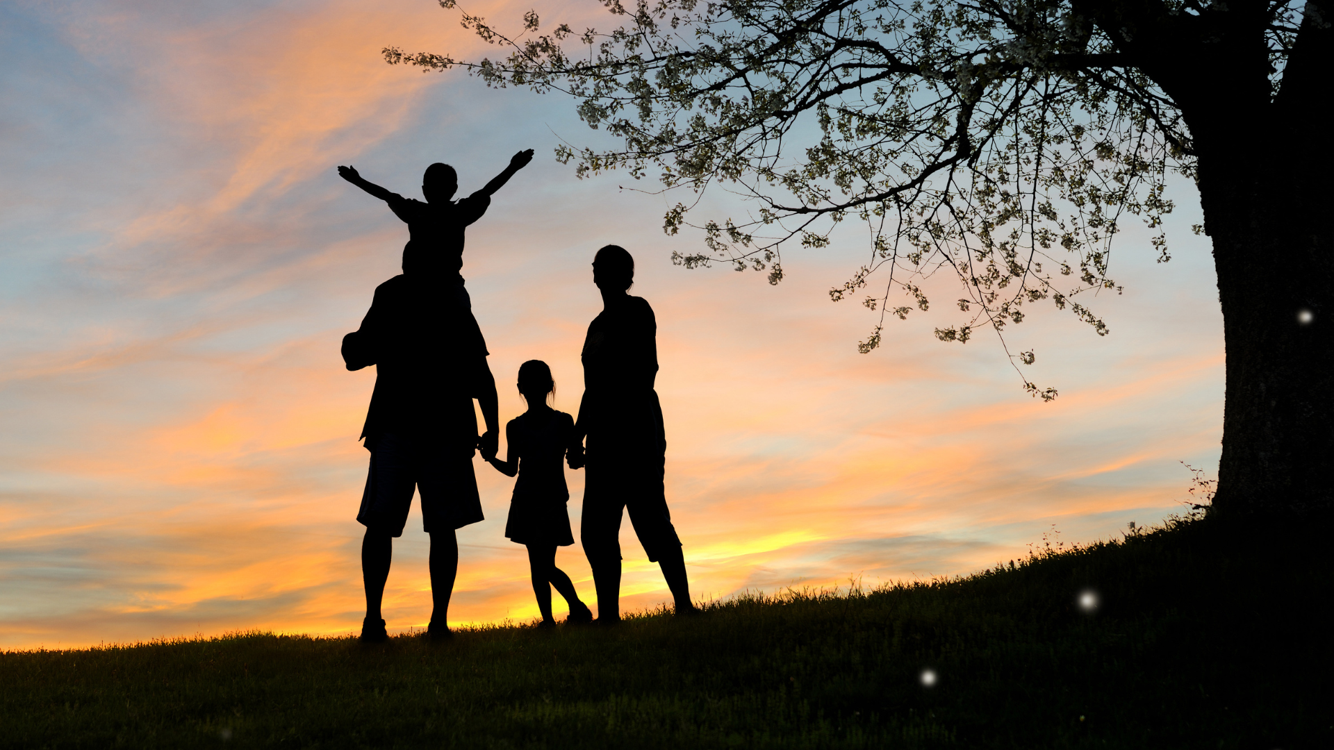 parents standing with their kids in a filed at sunset while they discuss Erie Insurance’s Life Insurance Express